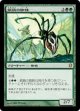 絹鎖の蜘蛛(日本語版・通常)