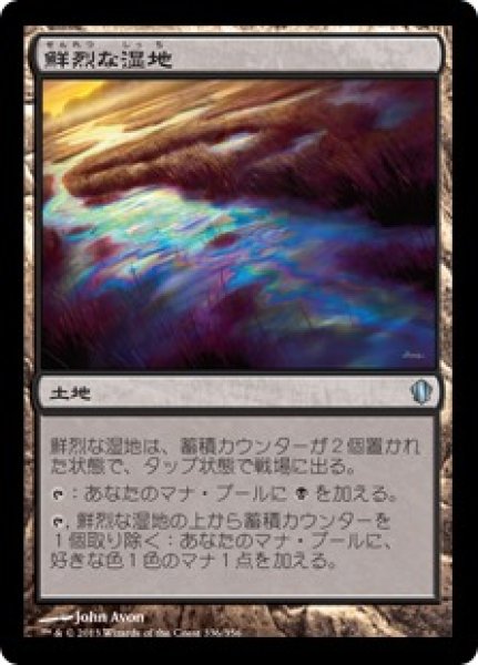 画像1: 鮮烈な湿地(日本語版・通常) (1)
