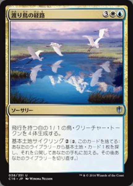 画像1: 渡り鳥の経路(日本語版・通常) (1)
