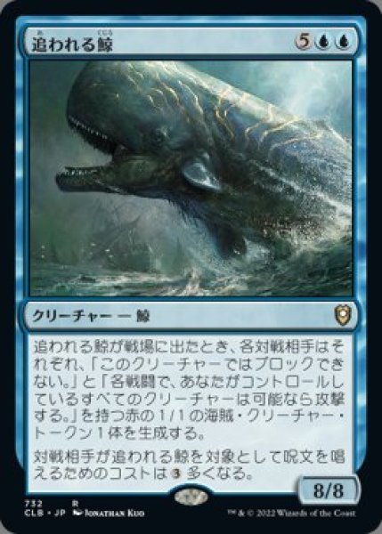 画像1: 追われる鯨(日本語版・通常) (1)