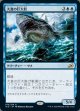 大食の巨大鮫(日本語版・通常)