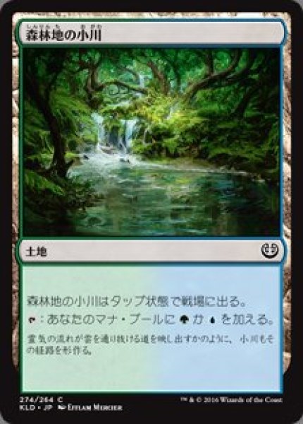 画像1: 森林地の小川(日本語版・通常) (1)