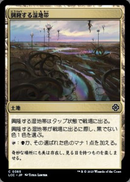 画像1: 興隆する湿地帯(日本語版・通常) (1)
