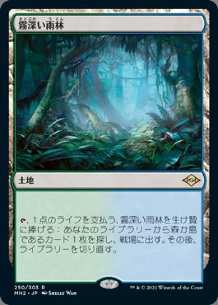 画像1: Misty Rainforest/霧深い雨林(日本語版・通常) (1)