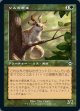 Squirrel Sovereign/リスの君主(日本語版・通常)(旧枠加工)