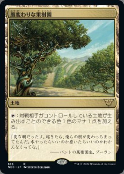 画像1: 風変わりな果樹園(日本語版・通常) (1)