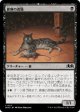 倉庫の虎猫(日本語版・通常)